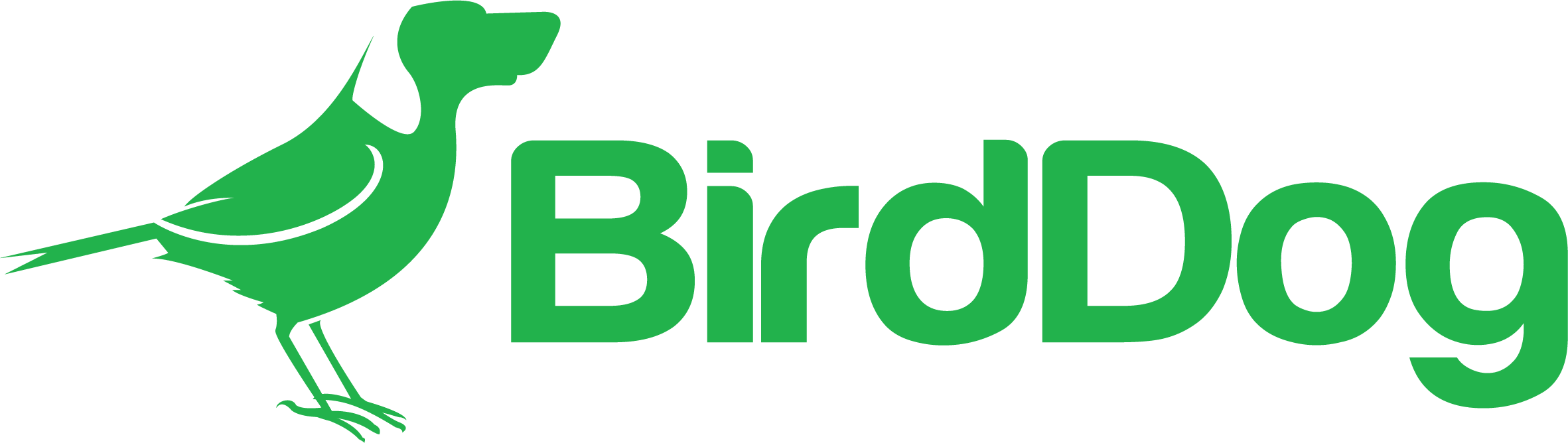 BirdDog-LOGO